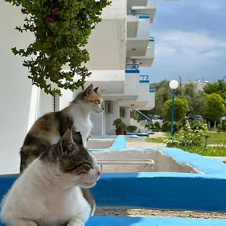 Kosinmyheart 11 & Studio10 Aparthotel