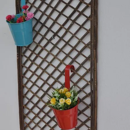 Kosinmyheart 11 & Studio10 4*