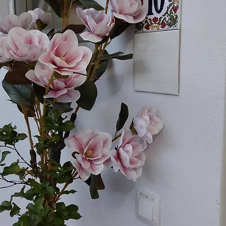 Kosinmyheart 11 & Studio10 4* Kos