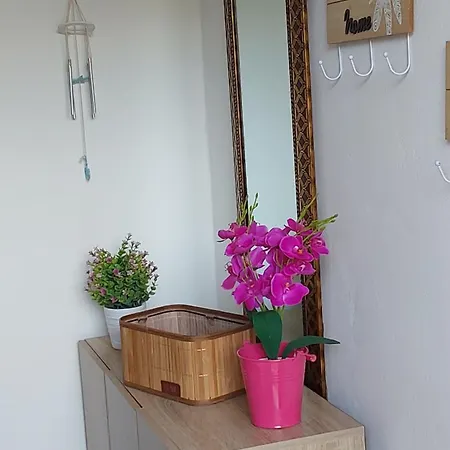 Kosinmyheart 11 & Studio10 4*