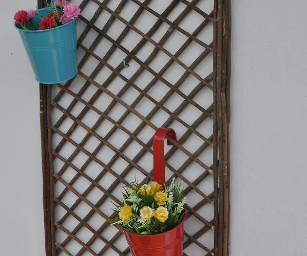 Kosinmyheart 11 & Studio10 4*