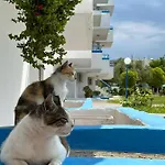 Kosinmyheart 11 & Studio10 Hotel apartamentowy