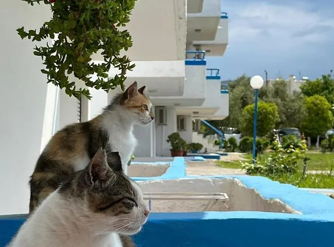 Kosinmyheart 11 & Studio10 Hotel apartamentowy