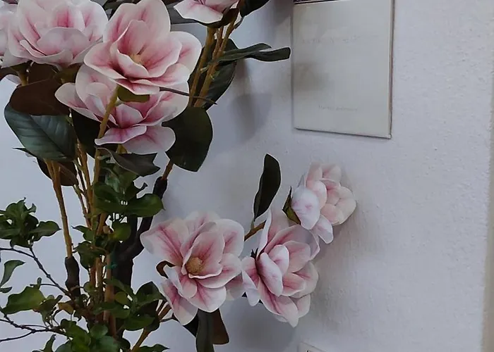 Kosinmyheart 11 & Studio10 4* Miasto Kos