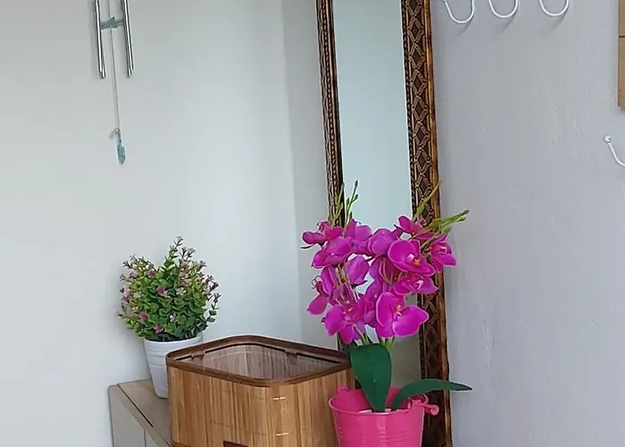 Kosinmyheart 11 & Studio10 4*